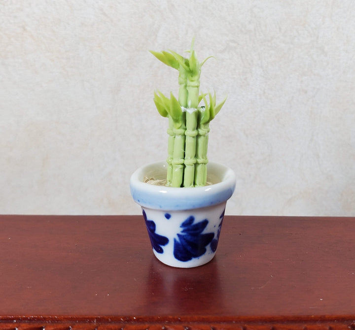 Dollhouse Lucky Bamboo Plant Plant in Blue & White Pot 1:12 Scale Houseplant - MiniatureCrush