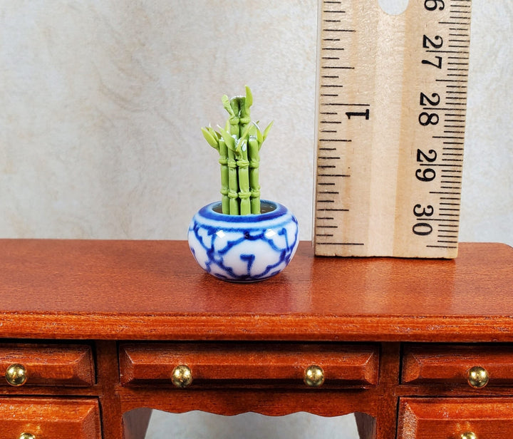 Dollhouse Lucky Bamboo Plant Plant in Blue & White Pot 1:12 Scale Houseplant - MiniatureCrush