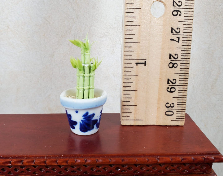 Dollhouse Lucky Bamboo Plant Plant in Blue & White Pot 1:12 Scale Houseplant - MiniatureCrush