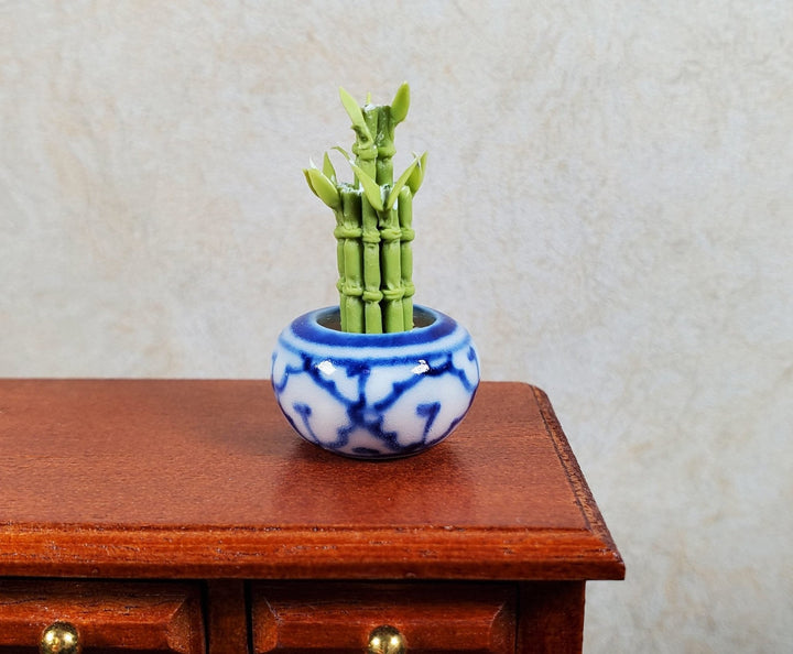 Dollhouse Lucky Bamboo Plant Plant in Blue & White Pot 1:12 Scale Houseplant - MiniatureCrush