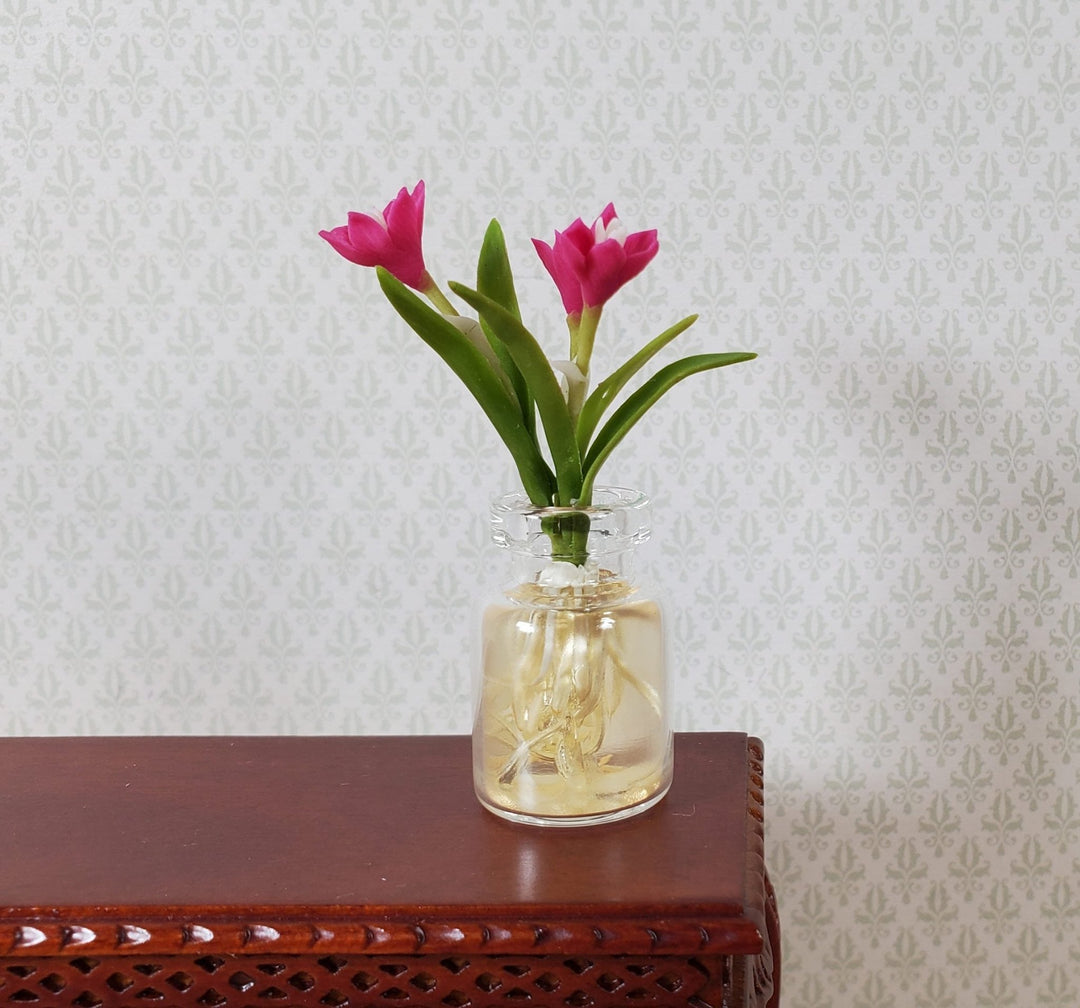 Dollhouse Magenta Tulip Bulbs in a Clear Glass Jar 1:12 Scale Miniature - MiniatureCrush
