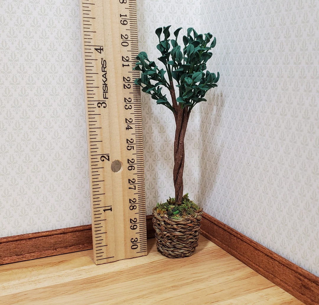 Dollhouse Medium Ficus Tree Houseplant in Woven Basket 1:12 Scale Miniature - MiniatureCrush