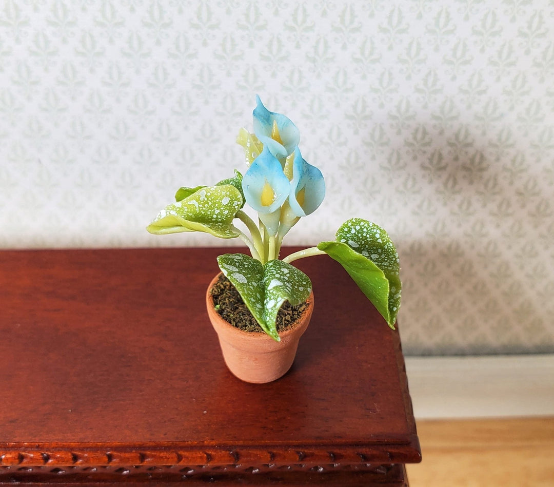 Dollhouse Miniature Calla Lilies Speckled Leaves in Terra Cotta Pot 1:12 Scale - MiniatureCrush