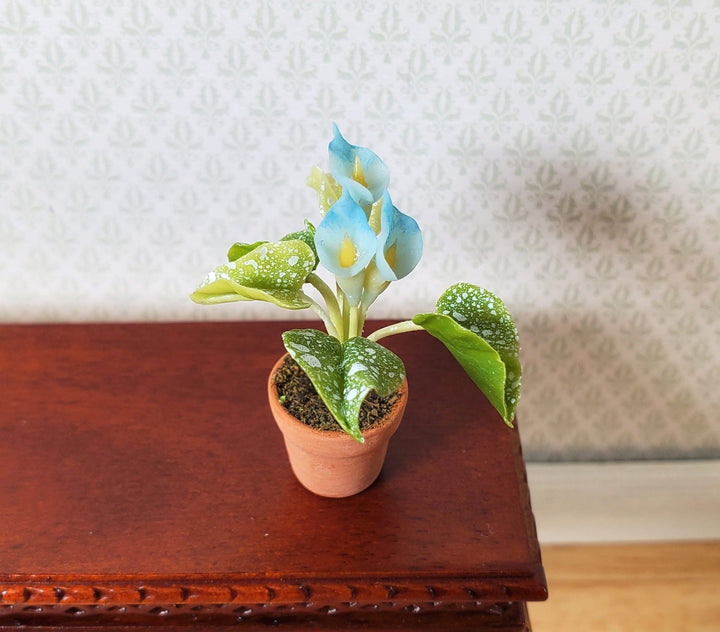 Dollhouse Miniature Calla Lilies Speckled Leaves in Terra Cotta Pot 1:12 Scale - MiniatureCrush