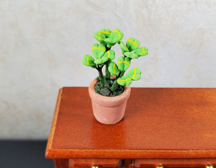 Dollhouse Miniature Lucky Four Leaf Clovers in Terra Cotta 1:12 Scale Miniature - MiniatureCrush