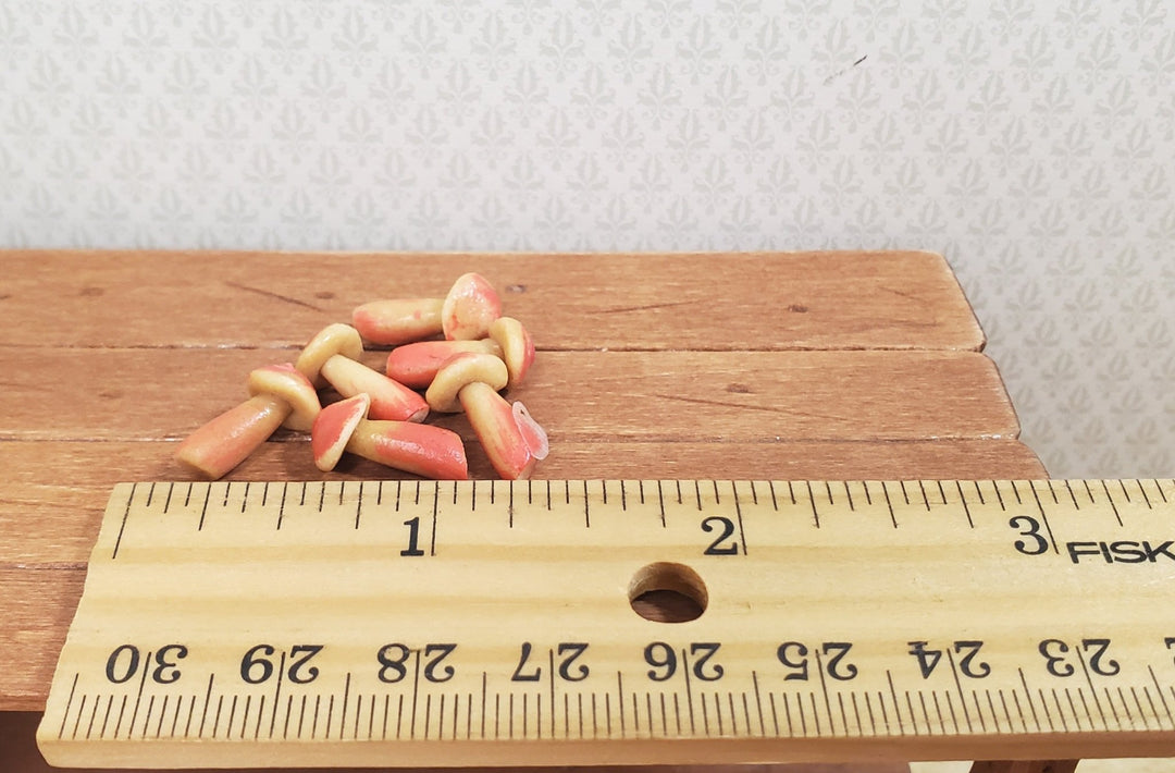 Dollhouse Miniature Mushrooms x6 Large Tan & Red 1:12 Scale Magic Fairy Garden - MiniatureCrush