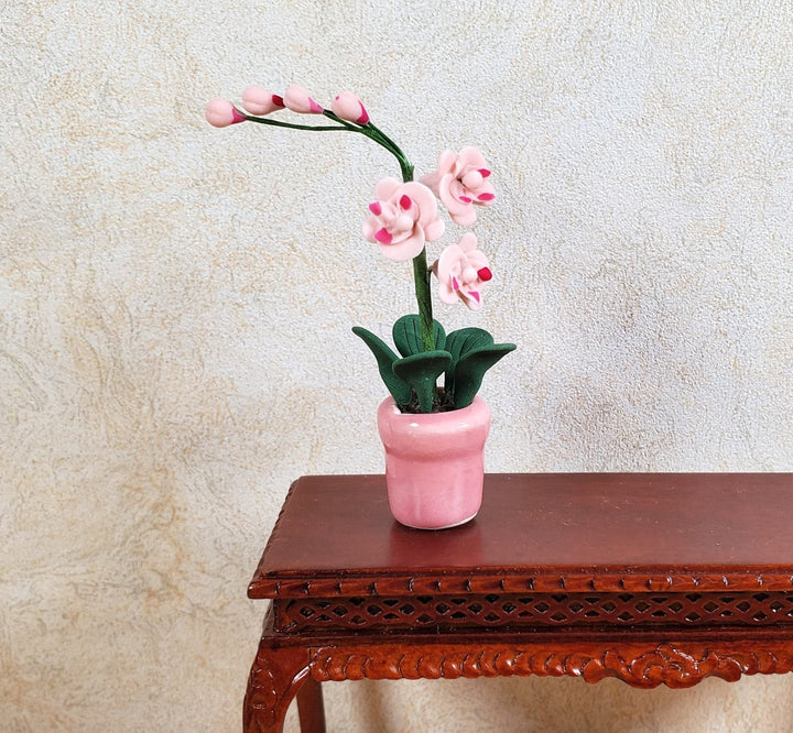 Dollhouse Miniature Pink Phalaenopsis Orchid in a Pink Ceramic Pot 1:12 Scale - MiniatureCrush
