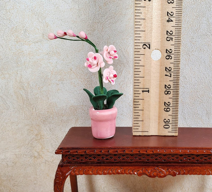 Dollhouse Miniature Pink Phalaenopsis Orchid in a Pink Ceramic Pot 1:12 Scale - MiniatureCrush