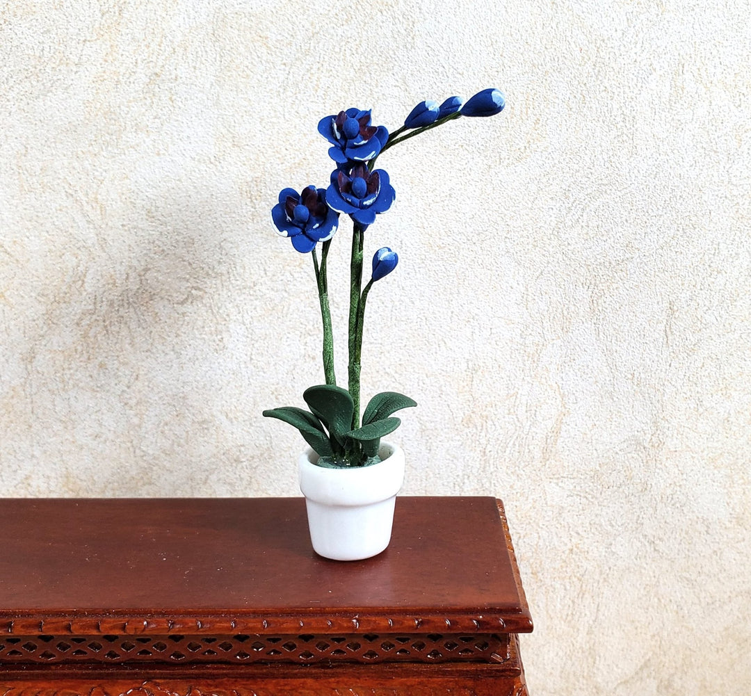 Dollhouse Miniature Tall Phalaenopsis Orchid in a White Ceramic Pot 1:12 Scale - MiniatureCrush
