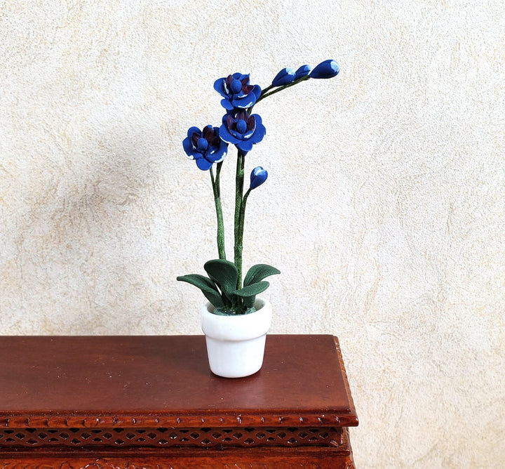 Dollhouse Miniature Tall Phalaenopsis Orchid in a White Ceramic Pot 1:12 Scale - MiniatureCrush