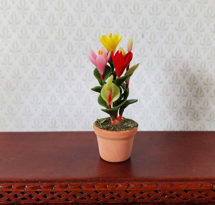 Dollhouse Multi Color Crocus Plant in a Terra Cotta Pot 1:12 Scale Miniature - MiniatureCrush