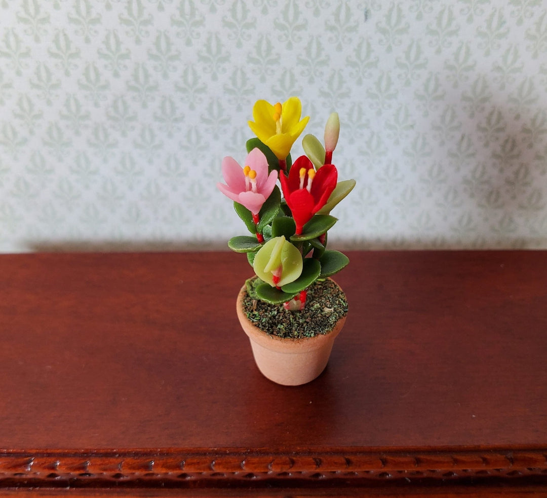Dollhouse Multi Color Crocus Plant in a Terra Cotta Pot 1:12 Scale Miniature - MiniatureCrush