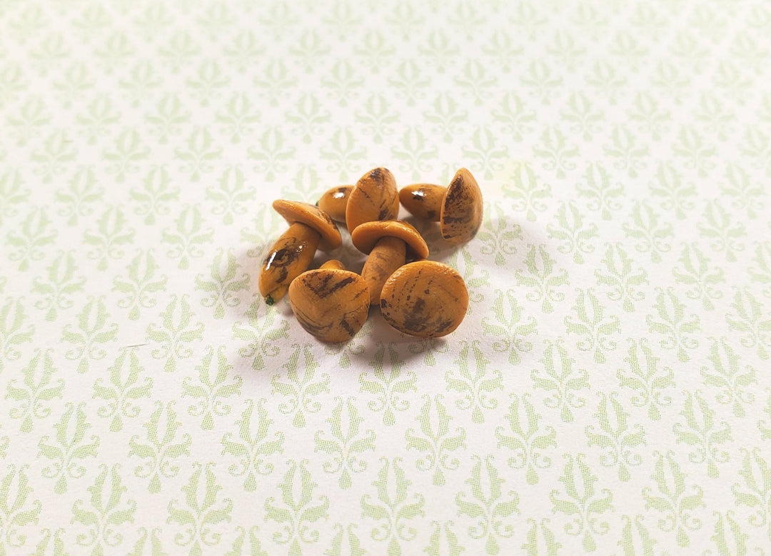 Dollhouse Mushroom Set of 6 1:12 Scale Miniature Food Kitchen Groceries - MiniatureCrush