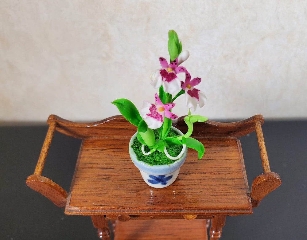Dollhouse Orchid Pink White Flowering Plant in Ceramic Pot 1:12 Scale Miniature - MiniatureCrush