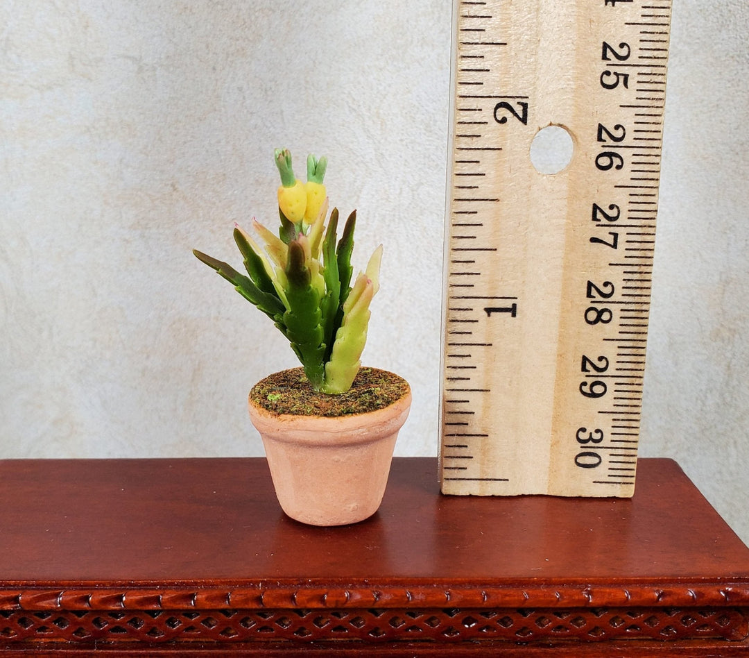 Dollhouse Pineapple Plant in Terra Cotta Pot 1:12 Scale Miniature Flowers - MiniatureCrush