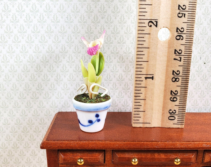 Dollhouse Pink and White Orchid in a Blue & White Ceramic Pot 1:12 Scale - MiniatureCrush