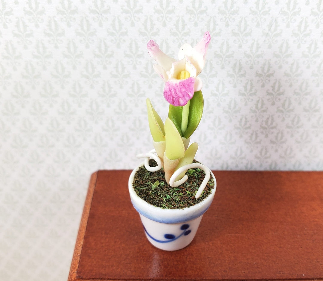 Dollhouse Pink and White Orchid in a Blue & White Ceramic Pot 1:12 Scale - MiniatureCrush