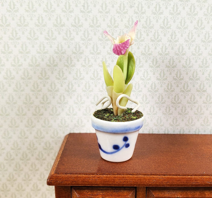 Dollhouse Pink and White Orchid in a Blue & White Ceramic Pot 1:12 Scale - MiniatureCrush