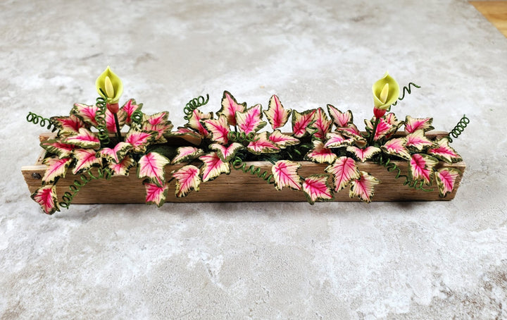 Dollhouse Pink Caladium in a 5.25" Window Box Planter 1:12 Scale Miniature - MiniatureCrush