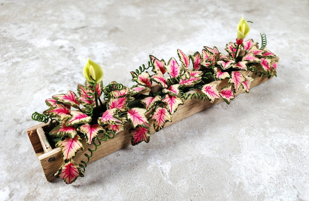Dollhouse Pink Caladium in a 5.25" Window Box Planter 1:12 Scale Miniature - MiniatureCrush