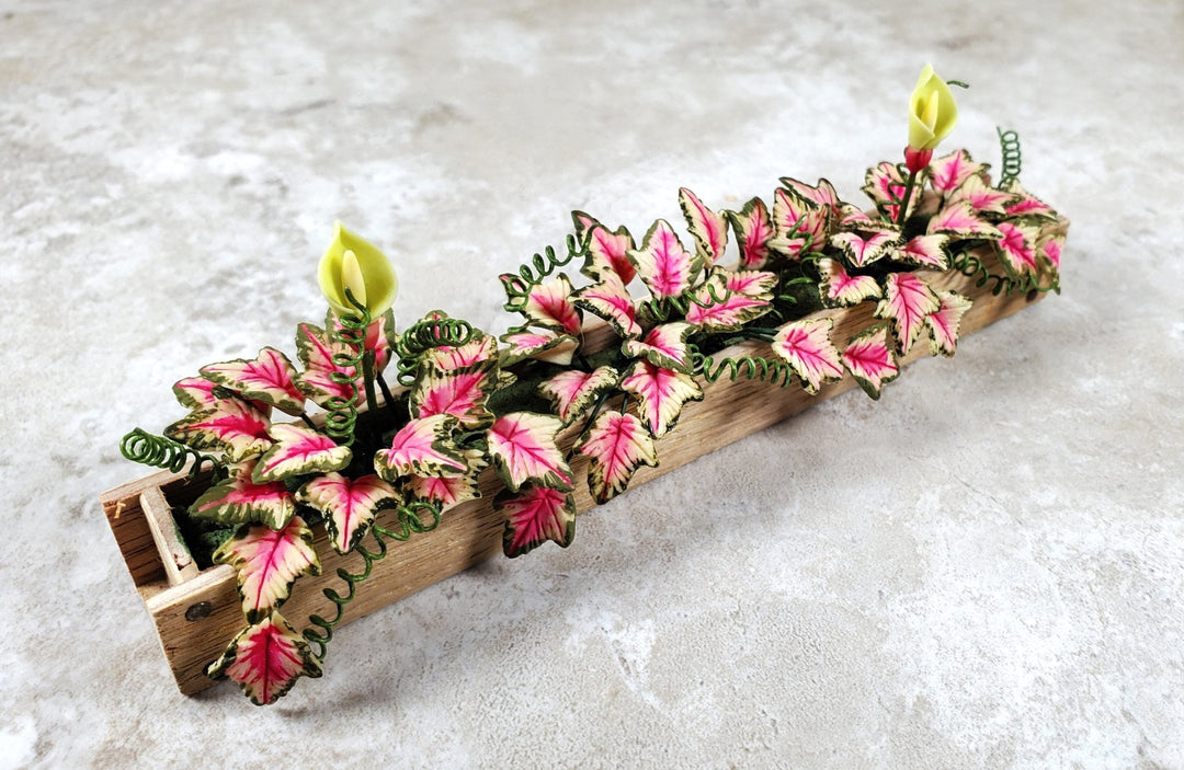 Dollhouse Pink Caladium in a 5.25" Window Box Planter 1:12 Scale Miniature - MiniatureCrush