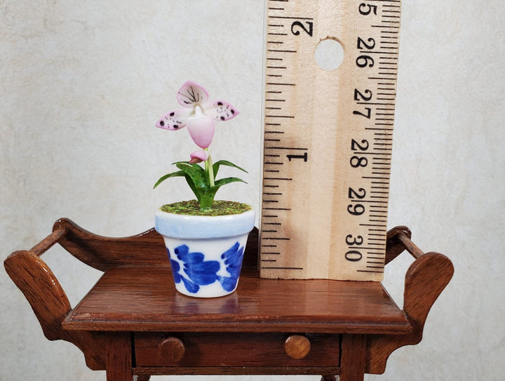 Dollhouse Pink Lady Slipper in a Blue & White Ceramic Pot 1:12 Scale Miniature - MiniatureCrush