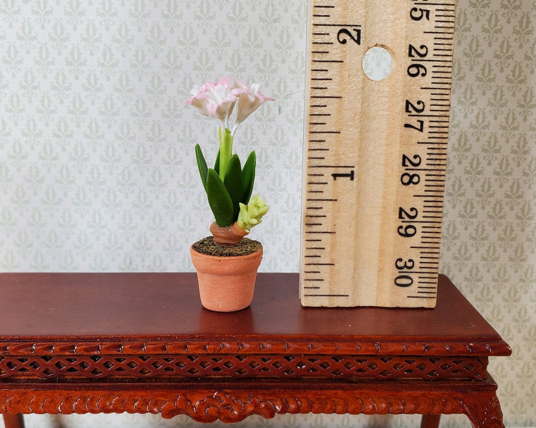 Dollhouse Pink & White Amaryllis Flowers in Terra Cotta Pot 1:12 Scale Miniature - MiniatureCrush