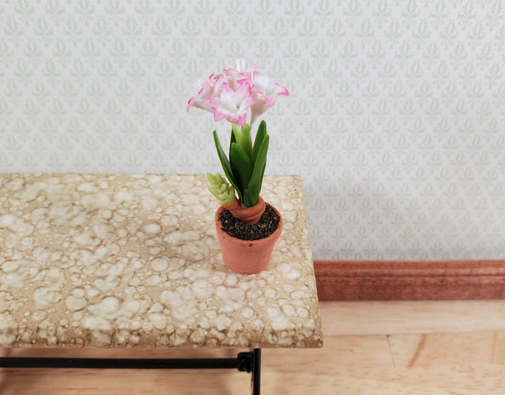 Dollhouse Pink & White Amaryllis Flowers in Terra Cotta Pot 1:12 Scale Miniature - MiniatureCrush