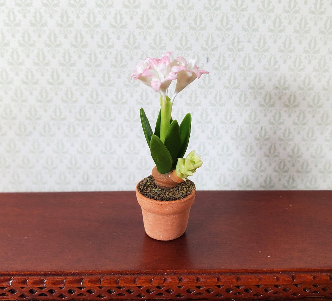 Dollhouse Pink & White Amaryllis Flowers in Terra Cotta Pot 1:12 Scale Miniature - MiniatureCrush