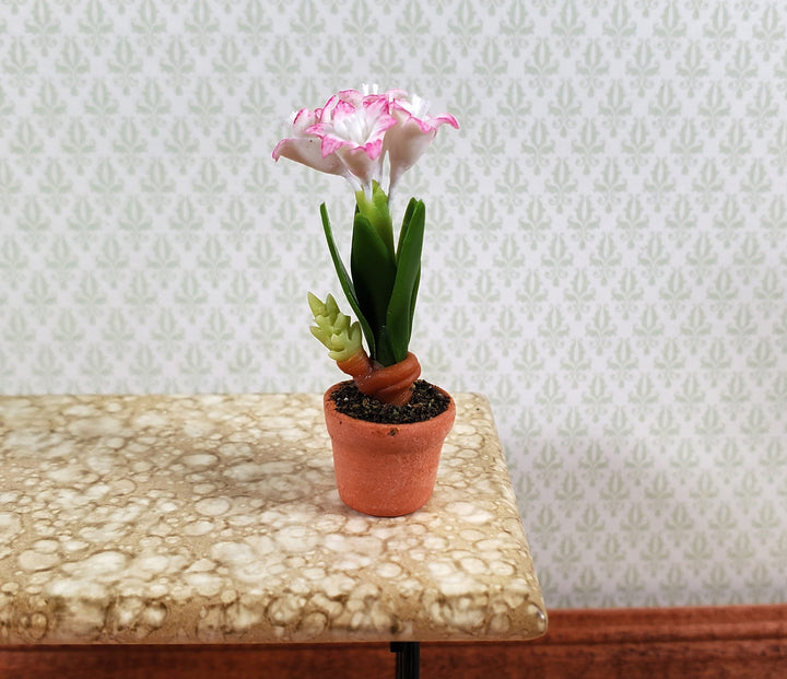 Dollhouse Pink & White Amaryllis Flowers in Terra Cotta Pot 1:12 Scale Miniature - MiniatureCrush