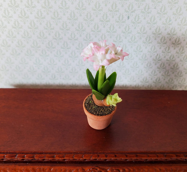 Dollhouse Pink & White Amaryllis Flowers in Terra Cotta Pot 1:12 Scale Miniature - MiniatureCrush