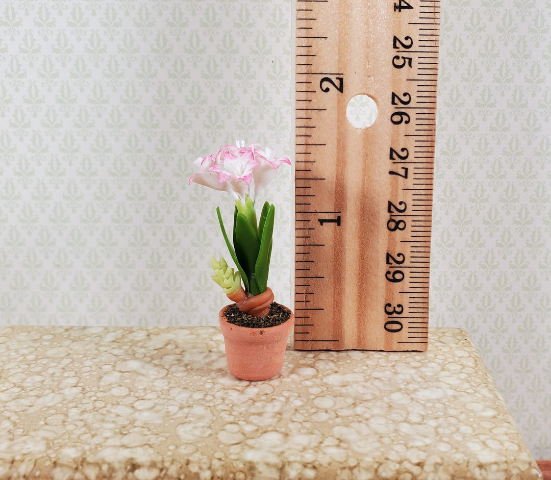 Dollhouse Pink & White Amaryllis Flowers in Terra Cotta Pot 1:12 Scale Miniature - MiniatureCrush