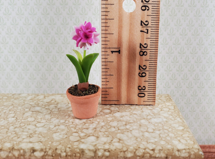 Dollhouse Pink White Flowering Bulb in Terra Cotta Planter 1:12 Scale Miniature - MiniatureCrush