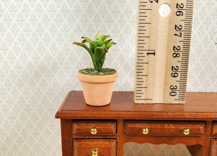 Dollhouse Plant Red Tipped Bromeliad 1:12 Scale Miniature Houseplant - MiniatureCrush