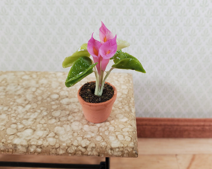 Dollhouse Potted Calla Lily Pink Flowering Plant Clay Pot 1:12 Scale Miniature - MiniatureCrush