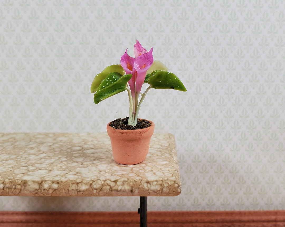 Dollhouse Potted Calla Lily Pink Flowering Plant Clay Pot 1:12 Scale Miniature - MiniatureCrush