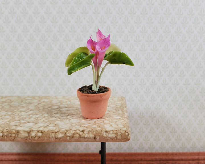 Dollhouse Potted Calla Lily Pink Flowering Plant Clay Pot 1:12 Scale Miniature - MiniatureCrush