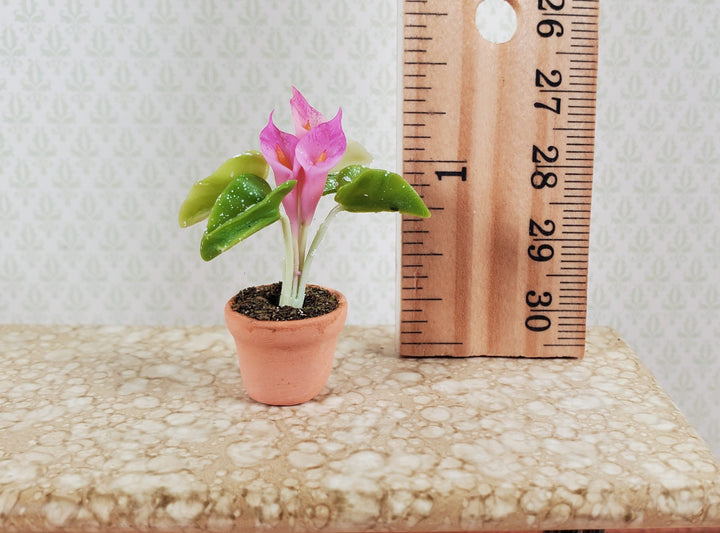 Dollhouse Potted Calla Lily Pink Flowering Plant Clay Pot 1:12 Scale Miniature - MiniatureCrush