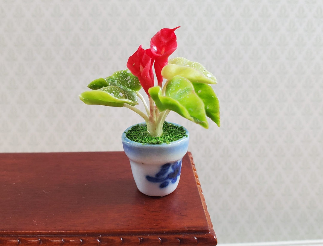 Dollhouse Potted Calla Lily Red Flowering Plant in Clay Pot 1:12 Scale Miniature - MiniatureCrush