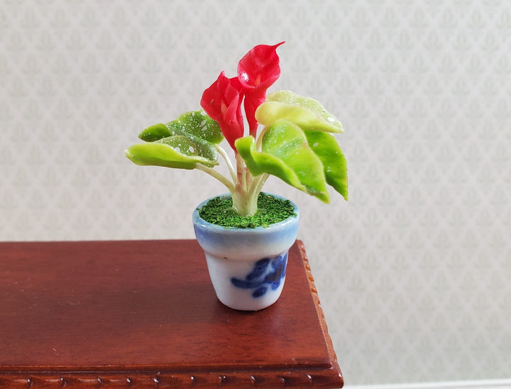 Dollhouse Potted Calla Lily Red Flowering Plant in Clay Pot 1:12 Scale Miniature - MiniatureCrush