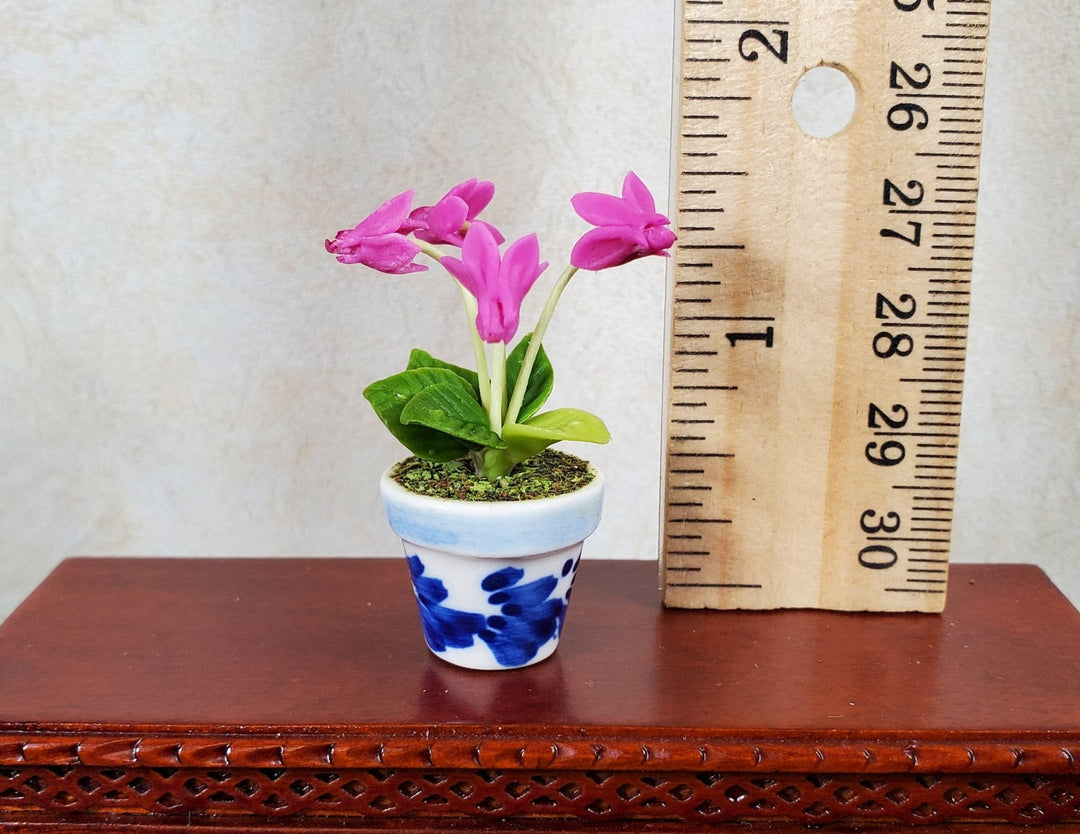 Dollhouse Potted Fuchsia Flowers 1:12 Scale Miniature Blue White Ceramic Pot - MiniatureCrush