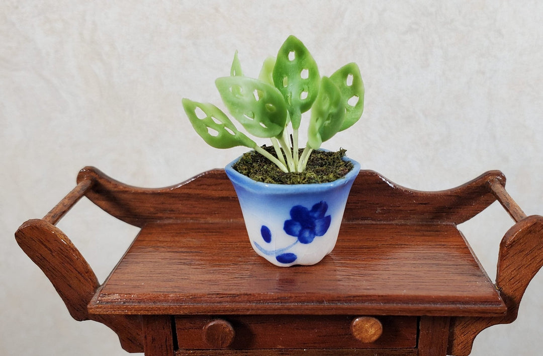 Dollhouse Potted Lace Plant in Blue & White Planter 1:12 Scale Miniature - MiniatureCrush