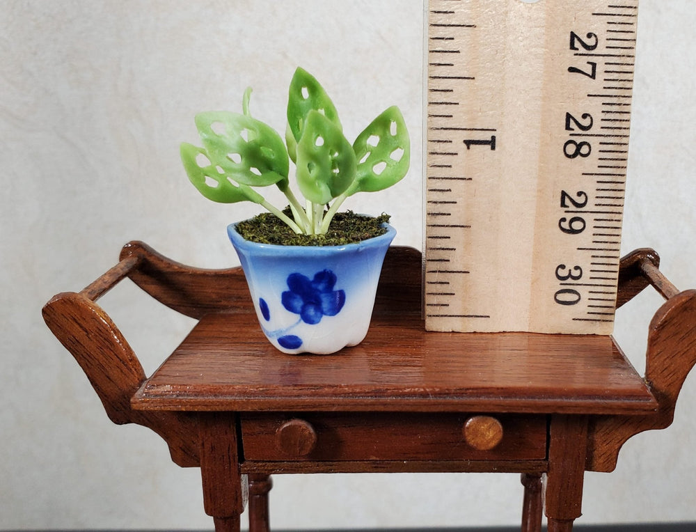 Dollhouse Potted Lace Plant in Blue & White Planter 1:12 Scale Miniature - MiniatureCrush