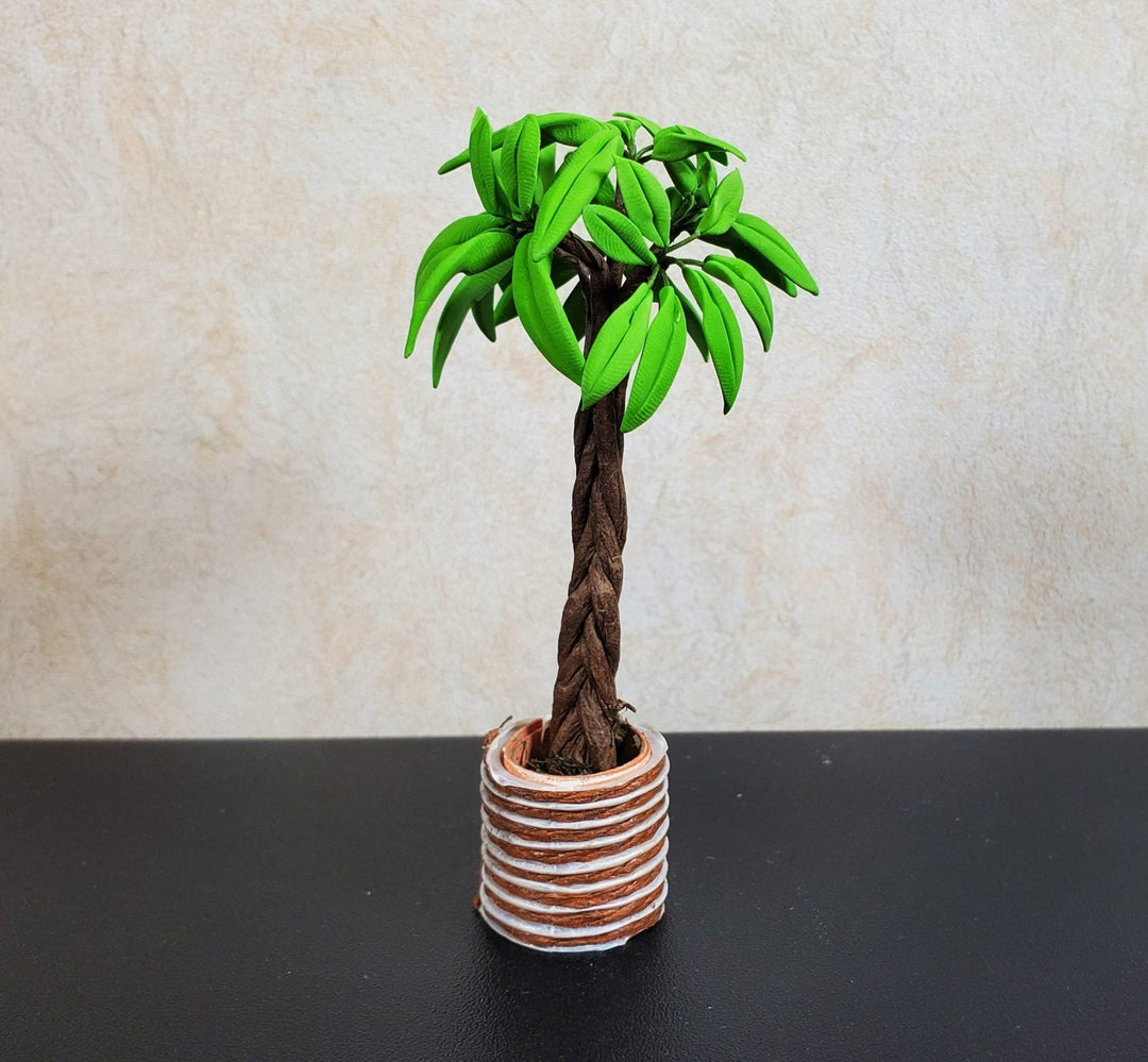 Dollhouse Potted Palm with Braided Trunk in Brown Clay Pot 1:12 Scale Miniature - MiniatureCrush