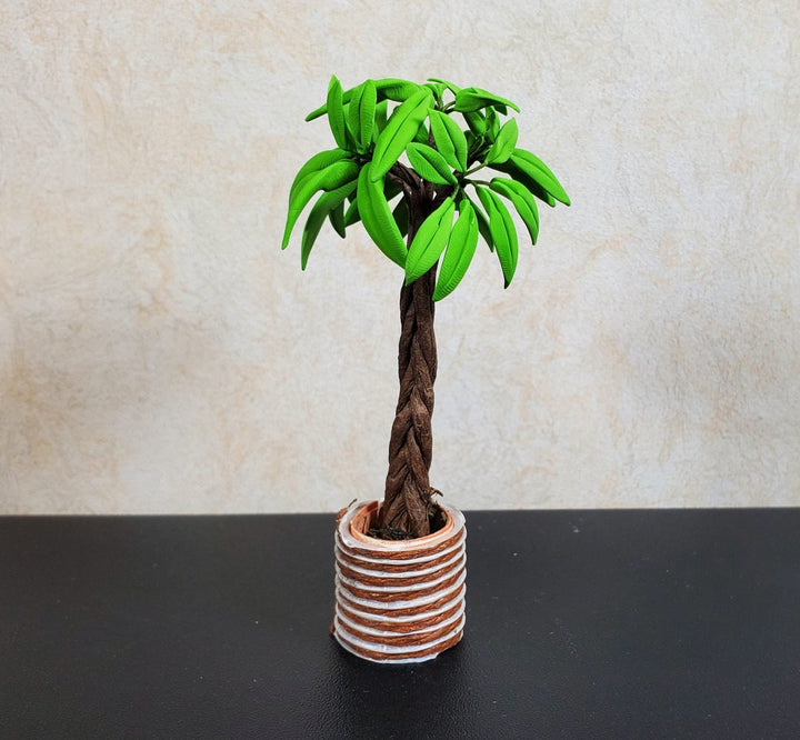 Dollhouse Potted Palm with Braided Trunk in Brown Clay Pot 1:12 Scale Miniature - MiniatureCrush
