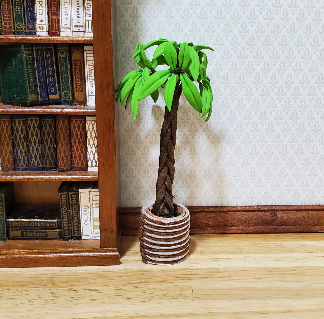Dollhouse Potted Palm with Braided Trunk in Brown Clay Pot 1:12 Scale Miniature - MiniatureCrush