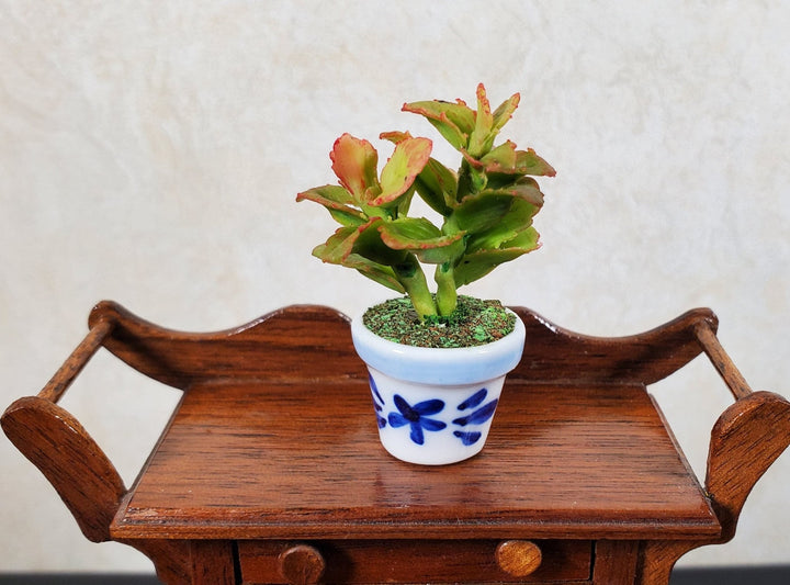 Dollhouse Potted Plant 1:12 Scale Miniature Houseplant Blue & White Planter - MiniatureCrush