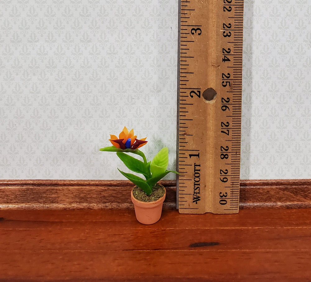 Dollhouse Potted Plant Bird of Paradise Flowers Houseplant 1:12 Scale Miniature - MiniatureCrush
