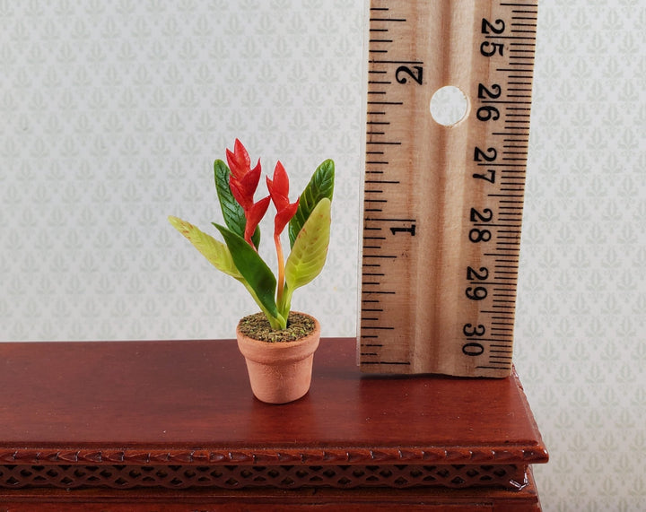 Dollhouse Potted Plant Red Bird of Paradise Houseplant 1:12 Scale Miniature - Miniature Crush