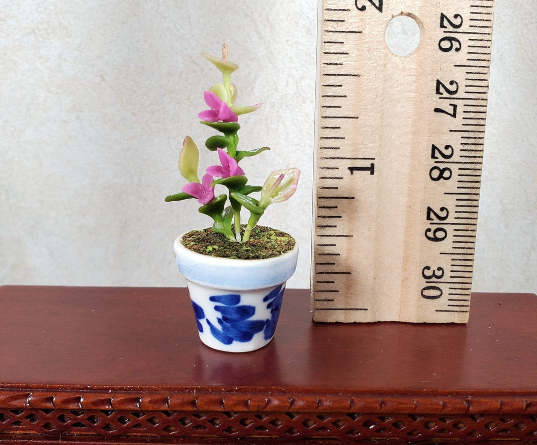 Dollhouse Potted Plant with Pink Flowers in Blue & White Pot 1:12 Scale Miniature - MiniatureCrush
